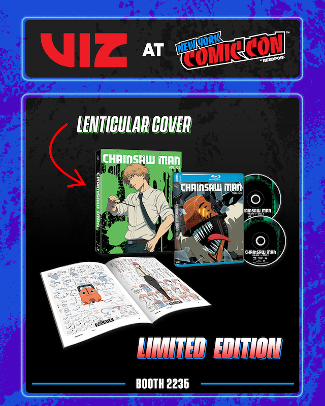 Viz Nycc Slide1 4x5