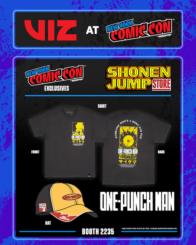 Viz Nycc Slide5 4x5