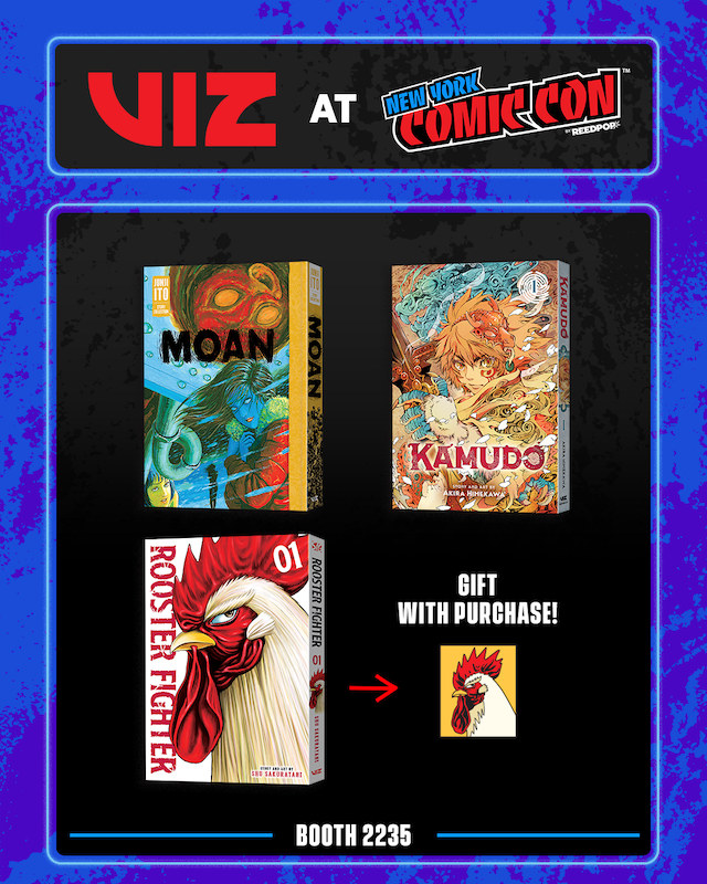 Viz Nycc Slide2 4x5
