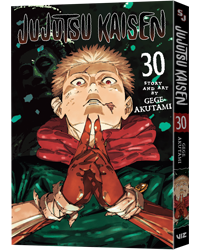 Jujutsu Kaisen Gn30 3 D Newsletter Jujutsu Kaisen Gn30 3 D Newsletter