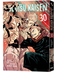 Jujutsu Kaisen Gn30 Bn Waterstones 3 D Newsletter Jujutsu Kaisen Gn30 Bn Waterstones 3 D Newsletter