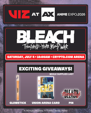 Viz Ax26 Bleach2 4x5